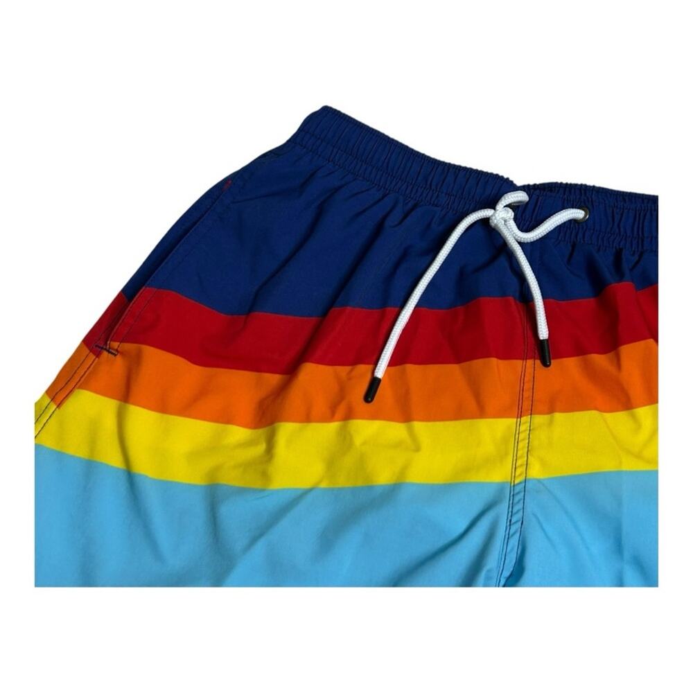 Third Wave Mesh Lined 5" Swim Trunks Rainbow Striped Medium - Picture 3 of 7